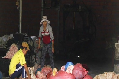 Đình chỉ cơ sở chế biến mỡ động vật ngang nhiên lộng hành