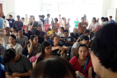 Nhiều đấng nam nhi ý thức đúng thật không bằng con ruồi!