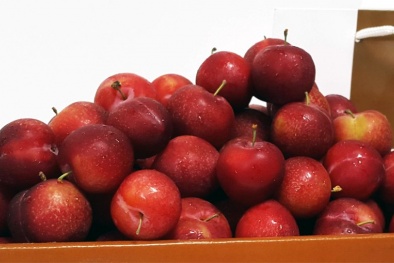 Mận, cherry Mỹ 600 ngàn/kg: Giới nhà giàu Việt sẵn lòng chi tiền ăn mỗi ngày