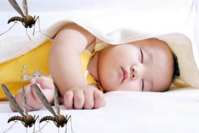 Tổng hợp các cách đuổi muỗi tránh xa căn nhà của bạn đơn giản, hiệu quả