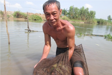 Nhà nông kiếm tiền triệu mỗi ngày nhờ cào hến, đặt trúm bắt lươn