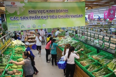 Các điều kiện 'cần và đủ' khi chứng nhận tiêu chuẩn VietGAP tại Việt Nam