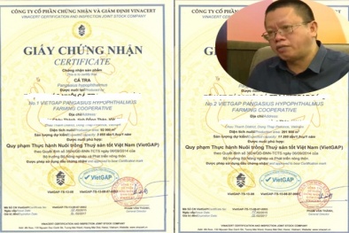 Ai ‘bật đèn xanh’ cho nhân viên VinaCert bán chứng nhận khống?