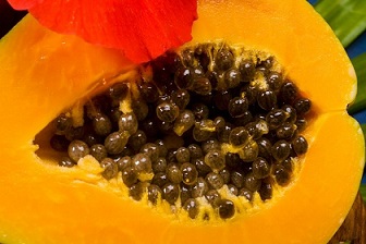 Bài thuốc từ hạt đu đủ trị 'dứt điểm' bệnh thấp khớp