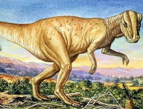 Kỳ lạ hóa thạch khủng long mỏ vịt có khối u trên mặt