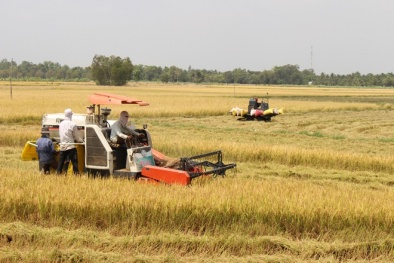 Vĩnh Long khuyến khích khởi nghiệp, đổi mới công nghệ