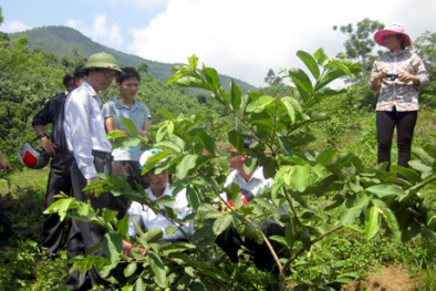 Yên Bái: Hoạt động khoa học và công nghệ góp phần thúc đẩy phát triển Sòng Bài Trực Tuyến 13Win.com-xã hội