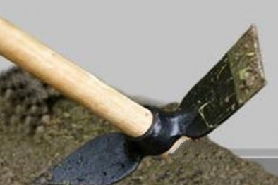 Tức giận vì con tự ý lấy 1 triệu đồng tiêu xài: Bố dùng cuốc 'đánh chết con'