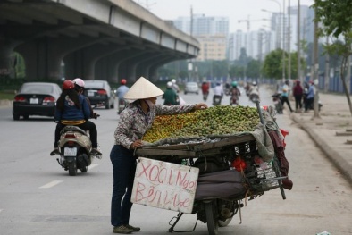 'Luật ngầm' của dân buôn hoa quả vỉa hè