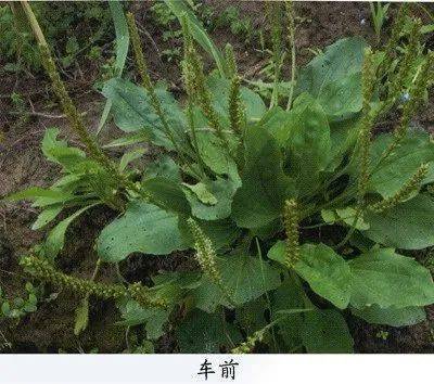 Người đàn ông gây sốc vì đại tiện trong phòng xử án