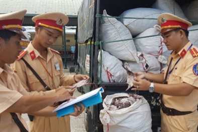 Phát hoảng với những chuyến xe chở hàng tấn mực thối 