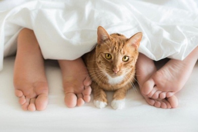 Chết đứng nhìn cuộn lông mèo 5 cm trong 'vùng kín' bệnh nhân