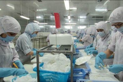 Nhận biết và xác định nguồn gốc trong tiêu chuẩn ISO 9001:2015