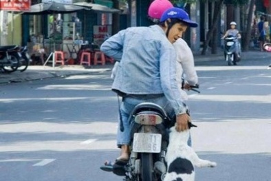 Táo tợn tên trộm chó đi Exciter đâm chết chủ nhà