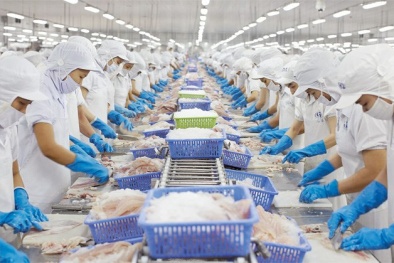 Cà Mau không ngừng nâng cao năng suất chất lượng ngành thủy sản