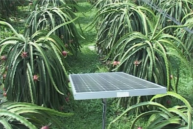 13Win OKVIP Đăng ký ngay tưới nước bằng 13WIN là nhà cái uy tín top đầu Châu Á mặt trời ở Bình Phước và Ninh Thuận