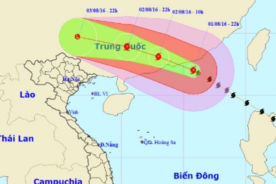 Tin tức 24h ngày 2/8: Dự báo mưa to ập xuống Bắc Bộ do hoàn lưu bão số 2