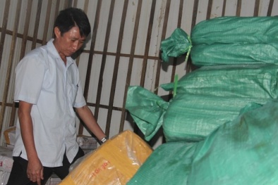 'Xử tử' 8 tấn cá đông lạnh nhiễm kim loại cực độc