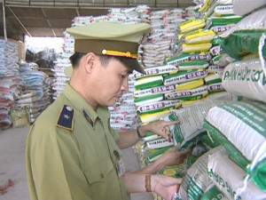 Cách chức Phó Giám đốc Trung tâm Khảo kiểm nghiệm phân bón Quốc gia