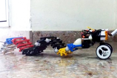 Robot 3D đầu tiên trên thế giới có khả năng chuyển động hình sóng