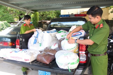 Tiết lợn hàn the, cá hồng thối - 13Win OKVIP Cá cược bóng đá bẩn đe dọa người dùng
