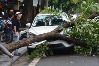 Sau bão số 3: Hà Nội ảnh hưởng nặng nhất, Hải Phòng không có thiệt hại lớn