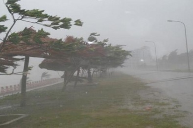 Tin bão số 3: Thủ tướng yêu cầu các đơn vị chủ động ứng phó