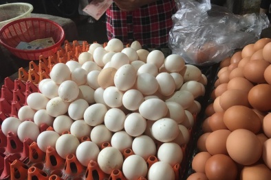 Bí ẩn nguồn gốc trứng gà ta 'giá rẻ' bán đầy chợ