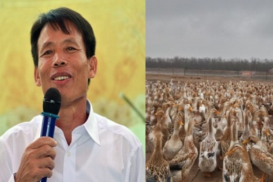 Ông Đoàn Văn Vươn tiếp thị vịt biển sạch ở khách sạn 5 sao Hà Nội