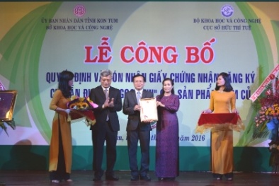 Kon Tum đón nhận giấy chứng nhận chỉ dẫn địa lý sâm 'Ngọc Linh'