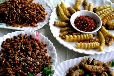 'Điểm lại' các món đặc sản từ côn trùng đã gây ngộ độc, chết người
