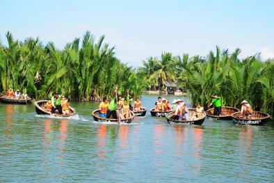 Rừng dừa Bảy Mẫu - một miền Tây khác ở Hội An