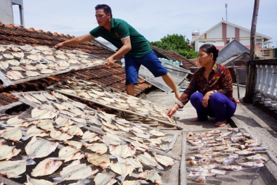 Nước biển chuyển màu đỏ bất thường khiến cá chết hàng loạt ở Thanh Hóa