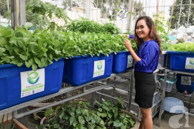 Từ bỏ làm giám đốc ngân hàng về trồng rau thu 2 tỷ/tháng