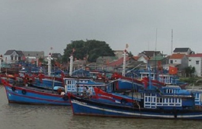 Quảng Ngãi: Tàu cá bị sóng đánh chìm trên đường tránh bão số 4