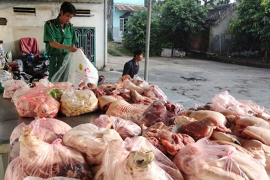 Hà Nội: Sắp có xe chuyên dụng kiểm tra mức độ an toàn 13Win OKVIP Cá cược bóng đá