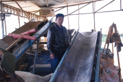 Tròn mắt nông dân làm giàu từ phế thải kiếm tiền tỷ
