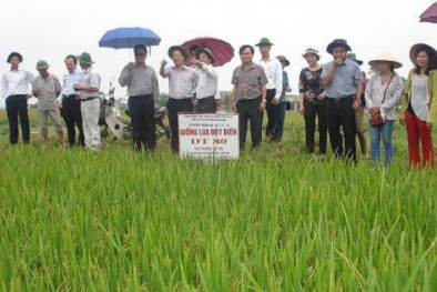 Ứng dụng công nghệ chiếu xạ và sinh học tạo giống cây trồng mới
