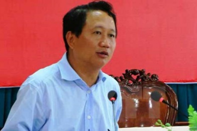Interpol có vai trò gì trong lệnh truy nã ông Trịnh Xuân Thanh?