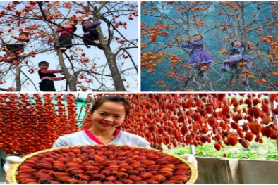 Du lịch xứ hồng để cảm nhận hương vị mùa thu từ Bắc đến Nam 