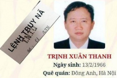 ĐSQ Đức nói về giả thiết Trịnh Xuân Thanh trốn sang nước họ
