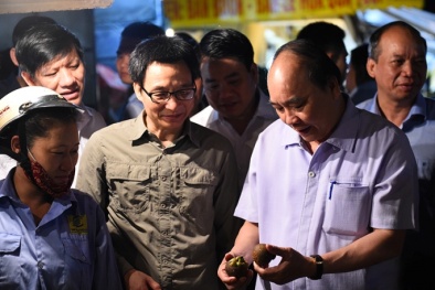 Thực phẩm bẩn tại thủ đô và niềm trăn trở của Thủ tướng