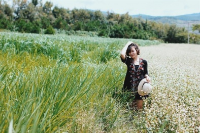 Địa điểm đẹp mê hồn ở Đà Lạt cho tín đồ 'sống ảo'