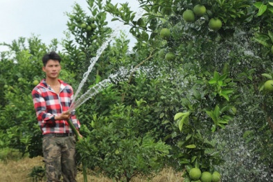 Những tấm gương làm giàu 'bắt đất cằn nở hoa' thu tiền tỷ