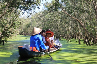 Về An Giang phiêu lưu giữa rừng tràm Trà Sư mùa nước nổi