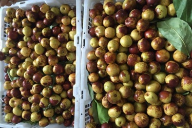'Sốt' táo Trung Quốc chữa đau đầu, muốn mua phải đặt trước