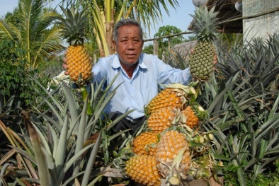 Kinh ngạc những lão nông 'bắt' đất phèn sinh tiền tỷ