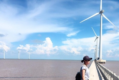 Có một cánh đồng quạt gió đẹp như trời Tây ở Bạc Liêu