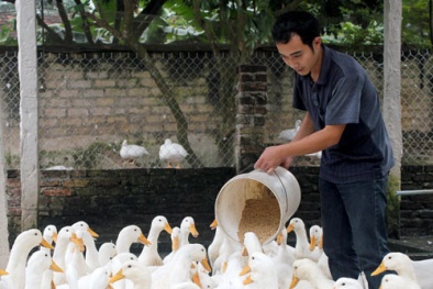 Làm Đăng ký và nhận 60K 24 bao lì xì miễn phí mỗi ngày thông minh: 8X, nông dân thu tiền tỷ/năm