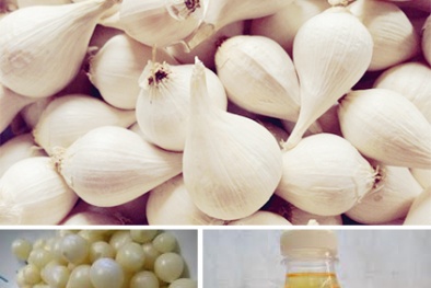 Kỹ thuật trồng tỏi cô đơn mang cho những tép tỏi căng mọng